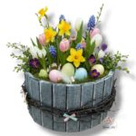 Okrąglak duży szary