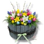 Okrąglak duży szary