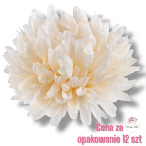 Chryzantema główka F-134