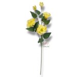 Strelicja gumowana F-080