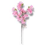 Strelicja gumowana F-080