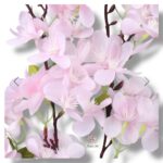 Strelicja gumowana F-080