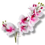 Storczyk gumowany F-063