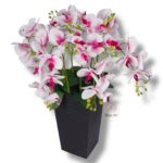 Strelicja gumowana F-080