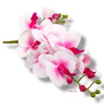 Storczyk gumowany F-062