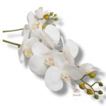 Storczyk gumowany F-062