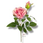 Róża gumowana F-056