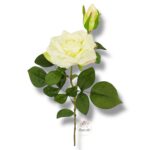 Róża gumowana F-055