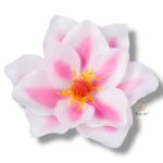 Magnolia główka F-025