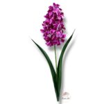 Hiacynt F-044