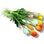 Strelicja gumowana F-080