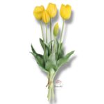 Tulipan gumowany bukiet F-066
