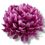 Chryzantema główka F-136/A