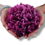 Wianek rozmaryn F-129