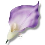 Kalla główka F-099