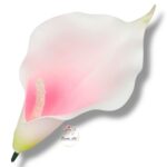 Kalla główka F-097