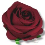 Róża główka F-147/A