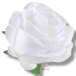 Róża główka F-142