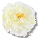 Peonia główka F-131