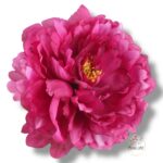 Peonia główka F-130