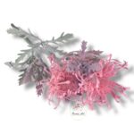 Wianek rozmaryn F-129