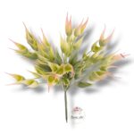 Wianek rozmaryn F-129