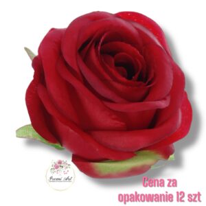 Róża główka F-137