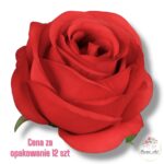 Róża główka F-137