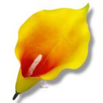 Kalla główka F-171