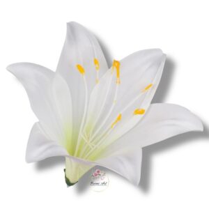 Lilia satynowa główka F-168