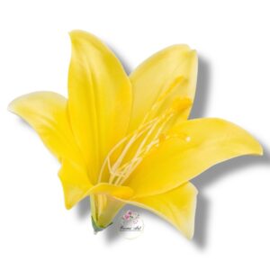 Lilia satynowa główka F-167