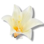 Lilia satynowa główka F-166