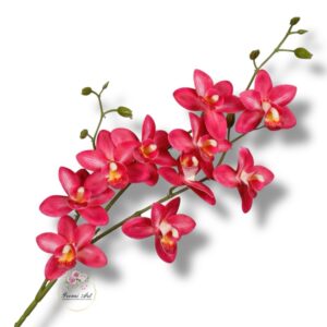 Storczyk tajlandzki F-236