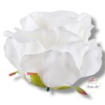 Goździk satynowy White F-195