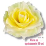 Róża Sonia główka F-304