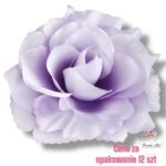 Róża Sonia główka F-301