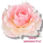 Róża Sonia główka F-300