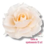 Róża Sonia główka F-297