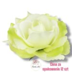 Róża Sonia główka F-292