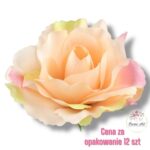 Róża Sonia główka F-294