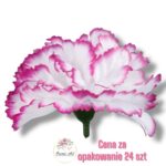 Goździk satynowy White/Purple F-286