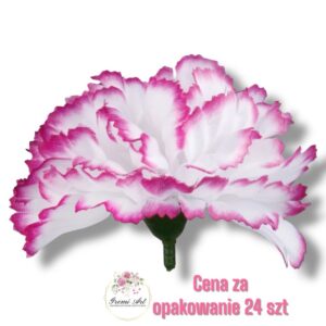 Goździk satynowy White/Purple F-286