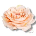 Goździk satynowy White F-195