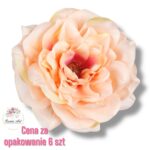 Peonia główka F-282