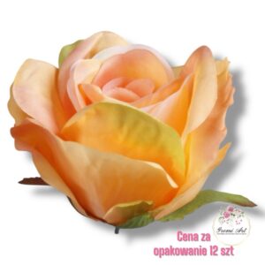 Róża główka F-249