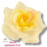 Róża francuska główka F-258