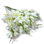 Goździk satynowy White F-195