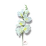 Goździk satynowy White F-195