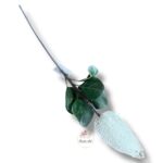 Goździk satynowy White F-195