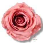 Róża Sonia główka F-355